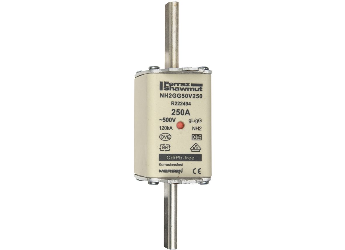 R222494 - NH fuse-link gG, 500VAC, size 2, 250A double indicator/live tags